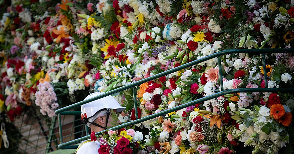 Colocación de ramos de flores en un panel de la Ofrenda Floral a la Virgen de las Angustias